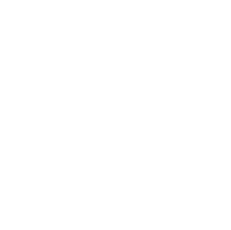 Human Made - Zero AI Used